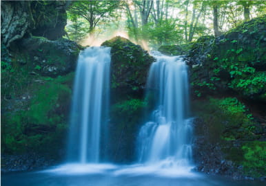 自然の中に流れる滝