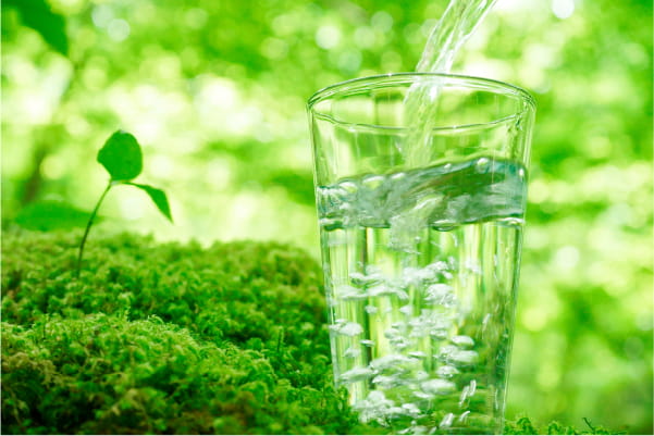 自然の中で水が注がれているコップ